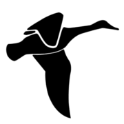 High Care Cosmetics logo