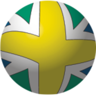 Brazilian Soccer Schools logo